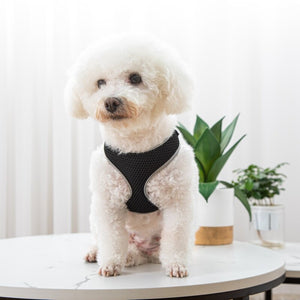 Unleash Adventure with Our Pet Vest Style Walking Harness Leash