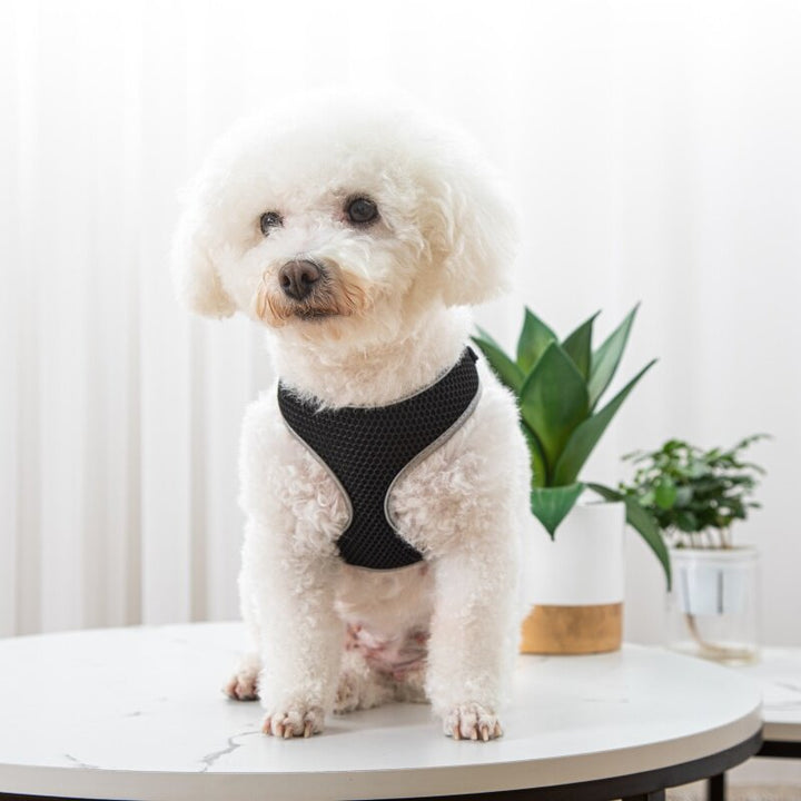 Unleash Adventure with Our Pet Vest Style Walking Harness Leash