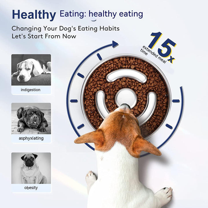 Enhance Your Pet's Mealtime with Our Stainless Steel Slow Feeding Neck Protector Bowl