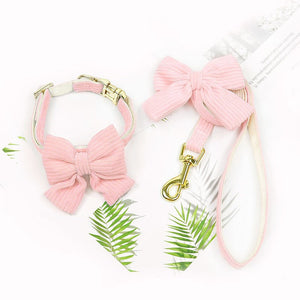 Why Your Pet Deserves the Best: The Outdoor Pet Harness Leash Set